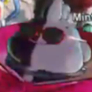 Meet your Posher, Oliver